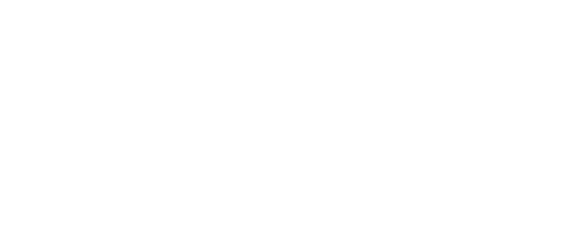 国际护照 新喀里多尼亚岛护照 - 返华APP